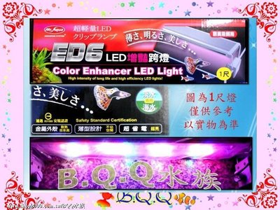 [B.Q.Q小舖]台灣Mr.aqua-水族先生【ED6增艷LED跨燈1.2尺(免運)】