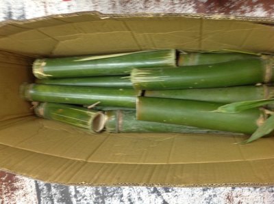 【n0900台灣健立最便宜】2020 新鮮現鋸的竹子每枝長度約15到20公分可以做竹筒飯每枝＄20 (結束經銷代理)NI