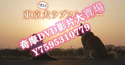 DVD  2023年 東京犬愛情故事 日劇