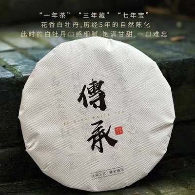 【白茶】5年花香白牡丹白茶福建高山茶葉福鼎白茶餅310g福鼎老白茶2016年茶葉 福鼎茶莊