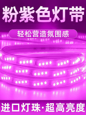紫色led燈帶粉色家用220v浪漫創意裝飾氛圍超亮戶外防水軟燈條-黃奈一