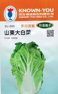 山東大白菜(Chinese Cabbage) sv-500 【蔬菜種子】每包約150粒 農友種苗特選種子