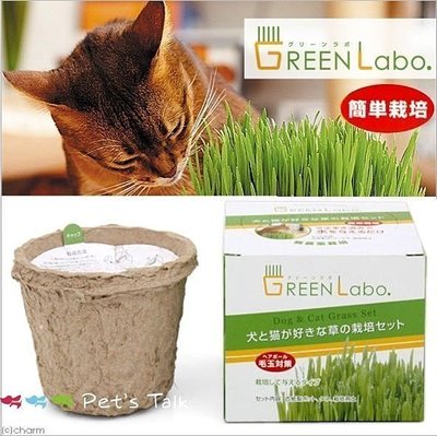 Pet's Talk~日本GreenLabo新鮮燕麥DIY貓草盆(貓貓狗狗都可吃)