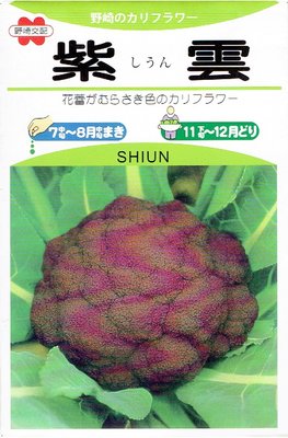 紫色花椰菜（紫雲）興農牌蔬果種子 每包約0.5公克