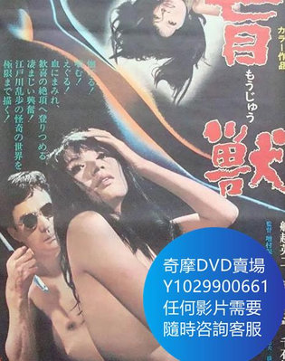 DVD 海量影片賣場 盲獸 電影 1969年