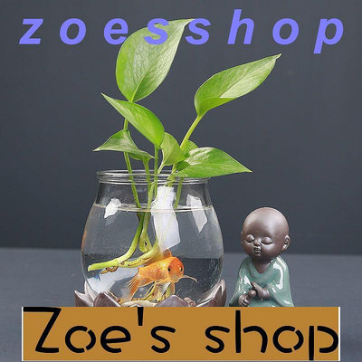 zoe-花器 種植盆 創意水養植物綠蘿水培花瓶玻璃透明花盆器皿插花瓶子容器桌面擺件