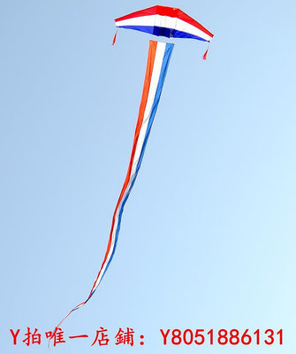 風箏飛悅滑翔機風箏抗大風凱夫拉提線傘布專業大人成人拉力大