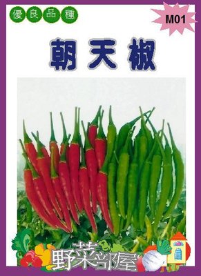 【野菜部屋~】M01泰國朝天椒種子20粒 , 泰國進口種子 , 辣味強 , 每包15元~
