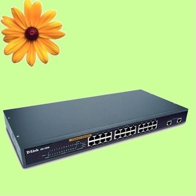 5Cgo【權宇】友訊D-Link DES-1026G第二層交換器switch HUB 24個10/100/M+2 含稅