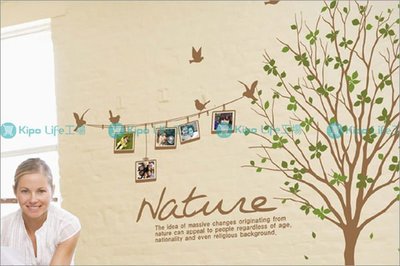 KIPO-相片樹 照片樹 韓式風景 相框樹 壁貼 NCC025102A