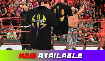 [美國瘋潮]正版 WWE The Hardy Boyz Retro T-Shirt 經典Hardys復刻款衣服特價中