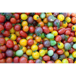 【媽咪蔬果園】、彩色小蕃茄  混合種子