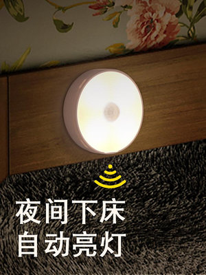 感應燈日本進口SIΕMUJIΕ自動智能人體感應燈充電led小夜燈家用聲