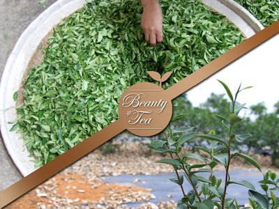 Beauty*Tea【招牌烏龍、翠玉半青熟下標區】評價破千，南投茶農優質技術烘焙