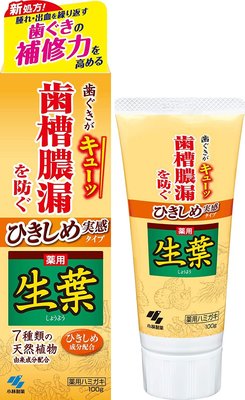 日本小林製藥 2022年新品生葉 齒槽膿漏 潔淨牙膏 / 牙周護理 黃色包裝(100g)