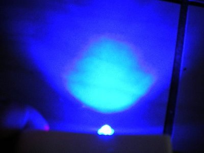 現貨供應5mm高亮度3晶片藍光三芯食人魚LED--批發-零售