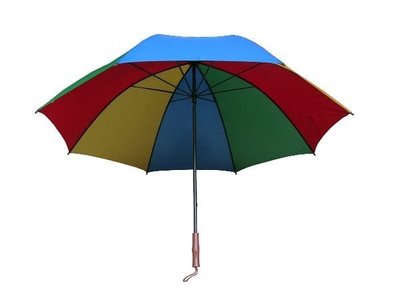 【雨傘 直傘】30英吋防風直骨手動傘(四色)500萬超大傘面【安安大賣場】