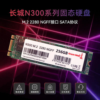 長城N300 1TB固態硬碟M2接口筆電桌機SSD固態硬碟SATA協議 NGFF