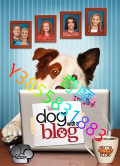 DVD 專賣店 狗狗博客第三季/Dog with a Blog Season 3