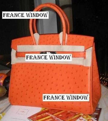 France Window 愛瑪仕柏金包Hermes Birkin 經典橙色駝鳥