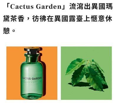 Cactus Garden Lv的價格推薦- 2022年5月| 比價比個夠BigGo