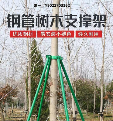 支撐器樹木支撐架大樹防風園林綠化支架樹苗固定器鍍鋅鋼管樹木支撐桿支撐桿