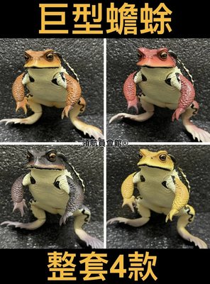 【領航員會館】整套IKIMON日本正版NTC圖鑑-巨型蟾蜍 扭蛋 公仔 癩蛤蟆 青蛙 牛蛙 動物 模型 玩具 標本