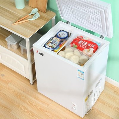 官方正品志高冰柜小型家用宿舍冷凍冷藏兩用單門冰箱臥式冷凍冰柜