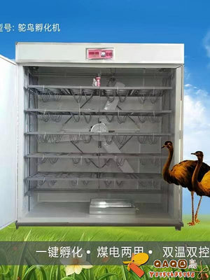 孵化機全自動鴕鳥蛋孵化器鴯鹋孵化箱澳洲鴕鳥孵化設備智能孵蛋器-QAQ囚鳥
