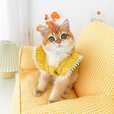 貓咪衣服貓咪衣服夏季貓貓衣服薄款可愛公主裙貓衣服幼貓裙子寵物貓連衣裙