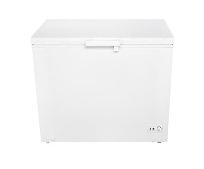 【TECO東元】300公升 四星級冷凍 簡約機身 臥式冷凍櫃 *RL3002W*