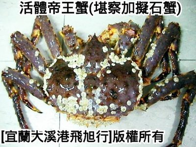 活體帝王蟹...起標價為蟹重2.5公斤以下的每公斤單價