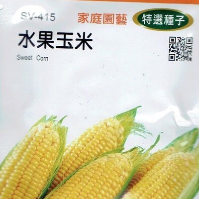 四季園 水果玉米 Sweet Corn (sv-415) 玉米 【蔬果種子】農友種苗特選種子 每包約10公克