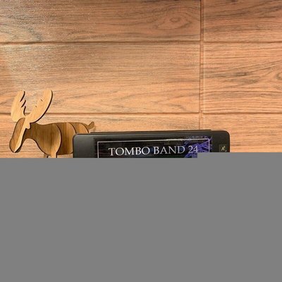 |鴻韻樂器|TOMBO BAND 蜻蜓牌 24孔複音口琴 3124 日製