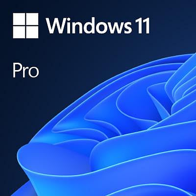 Windows 11 中文專業隨機版-64位元 (Windows 11 Professional)