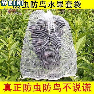 【鄰家Life】新疆包郵葡萄套袋水果套袋防蟲防鳥網袋瓜果蔬菜防蟲袋塑料白色網