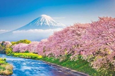 缺 10-1387 1000片日本進口拼圖 風景 日本 夢幻櫻花 富士山