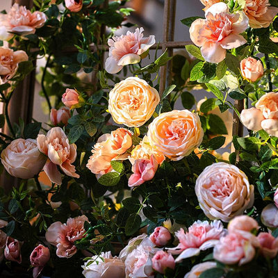 甜心玫瑰藤條仿真花藤裝飾吊花玫瑰纏繞藤蔓花藝管道吊頂櫥窗