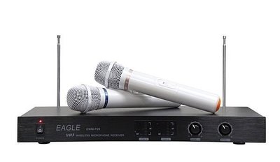 祥富科技家電 EAGLE專業超高頻雙無線麥克風 EWM-P28 (免運+刷卡零利率)