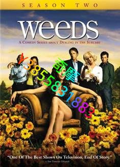 DVD 專賣店 單身毒媽第二季/Weeds Season 2