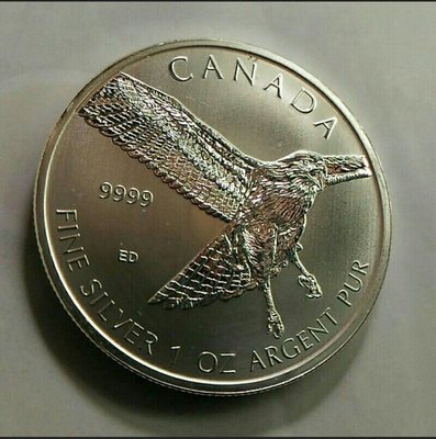 加拿大紅尾鷹銀幣，限量銀幣，加拿大銀幣，女王銀幣，銀幣，收藏錢幣，錢幣，紀念幣，幣~2015年加拿大紅尾鷹銀幣(已絕版，全新一盎司，1toz保真)