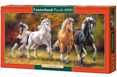 缺 歐洲進口拼圖 CAS 繪畫 動物 奔騰的馬 4000片拼圖 400119