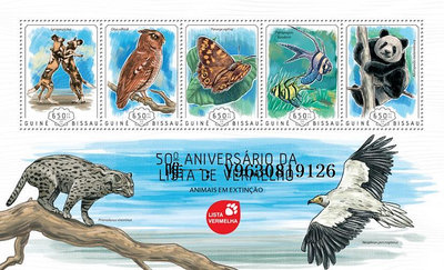 郵票4618：幾內亞比紹2014年動物 大熊貓 鳥類 小全張新票外國郵票外國郵票