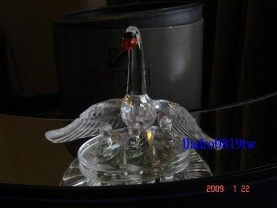 (含原廠盒)施華洛世奇水晶 天鵝家族(2000年)SWAROVSKI 絕版(另鋼琴馬聖誕樹天使牛巴卡拉Daum)