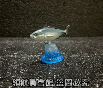 【領航員會館】日本正版EPOCH鯨魚與海洋生物 鰹魚 扭蛋 公仔 擺件 模型 玩具 可愛 療癒 鬼頭刀鮪魚飛虎魚