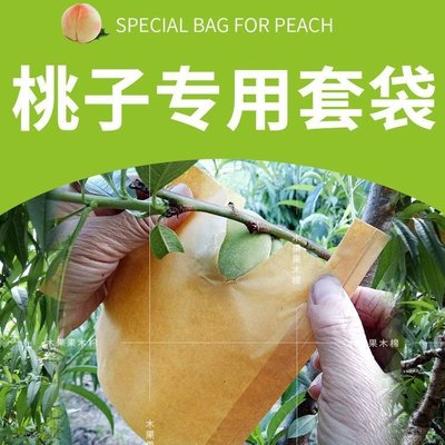 熱銷 桃子專用套袋桃袋果袋水果紙袋桃袋育果袋水蜜桃袋防雨水防蟲防鳥*~特價