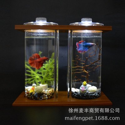 現貨熱銷-創意竹木生態魚缸 桌面迷你魚缸水族箱 小魚缸斗魚缸滿仟免運