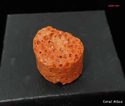 🌟Coral珊寶手作-天然momo珊瑚塊(帶蟲體) 22.6*21.1*27.2mm CO2P1-992