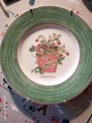 現貨---英國經典骨瓷盤-----Wedgwood 花草植物 裝飾盤 掛盤 (2款)