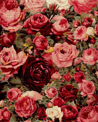 ArtLife藝術生活 DIY 彩繪 數字油畫 裝飾畫【DT197】璀璨玫瑰 40*50cm